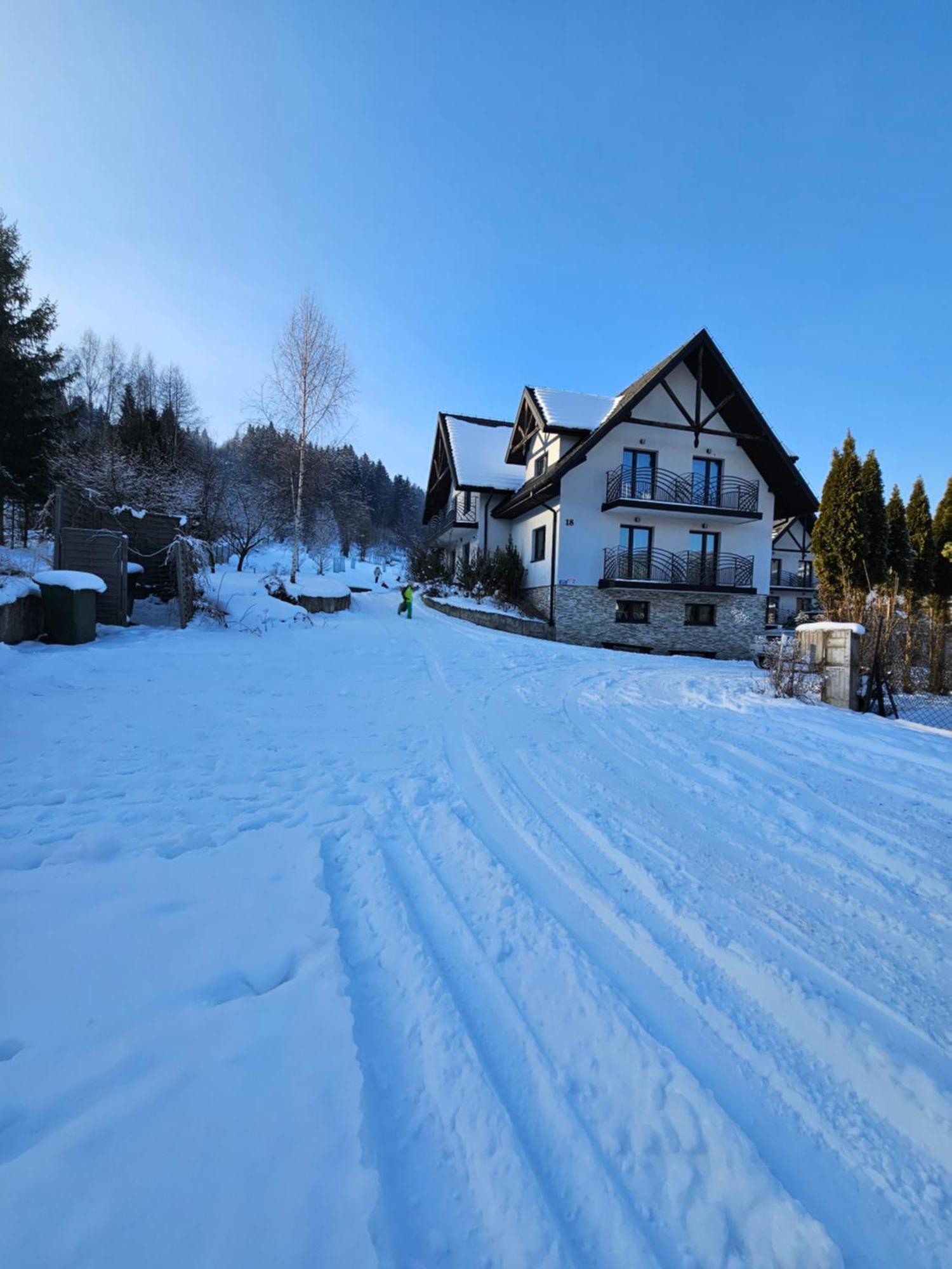 Otulina Park Bed & Breakfast Szczawnica Exterior photo