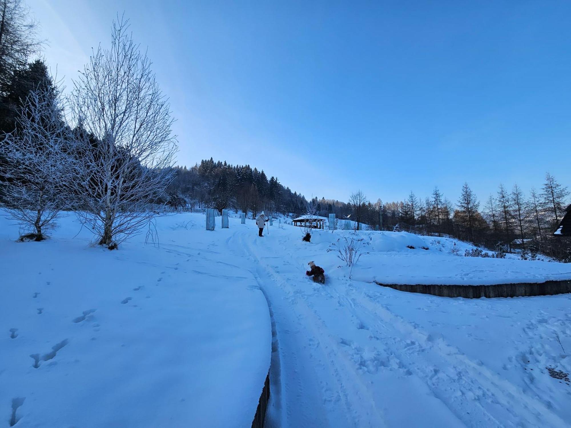 Otulina Park Bed & Breakfast Szczawnica Exterior photo