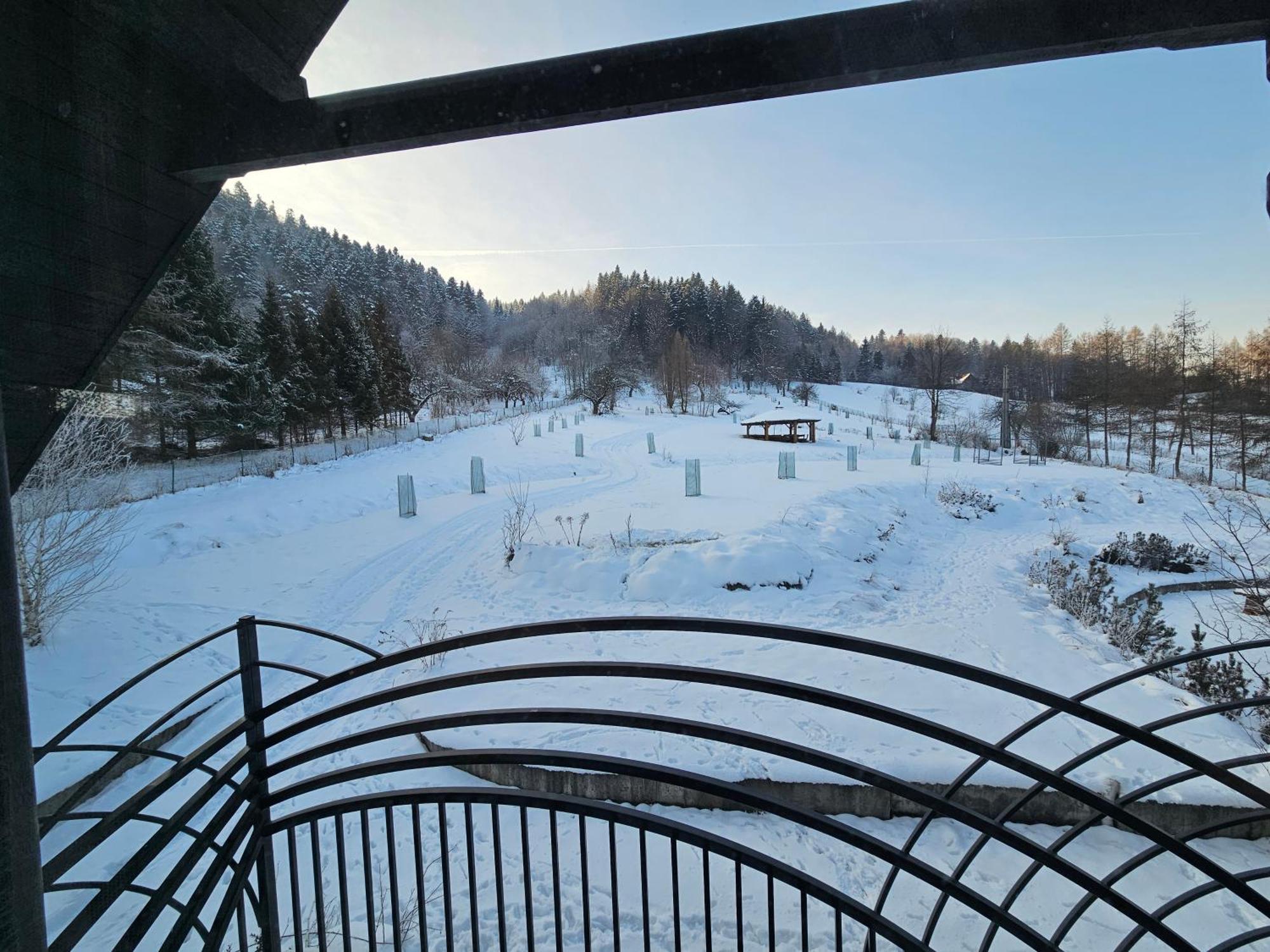 Otulina Park Bed & Breakfast Szczawnica Exterior photo