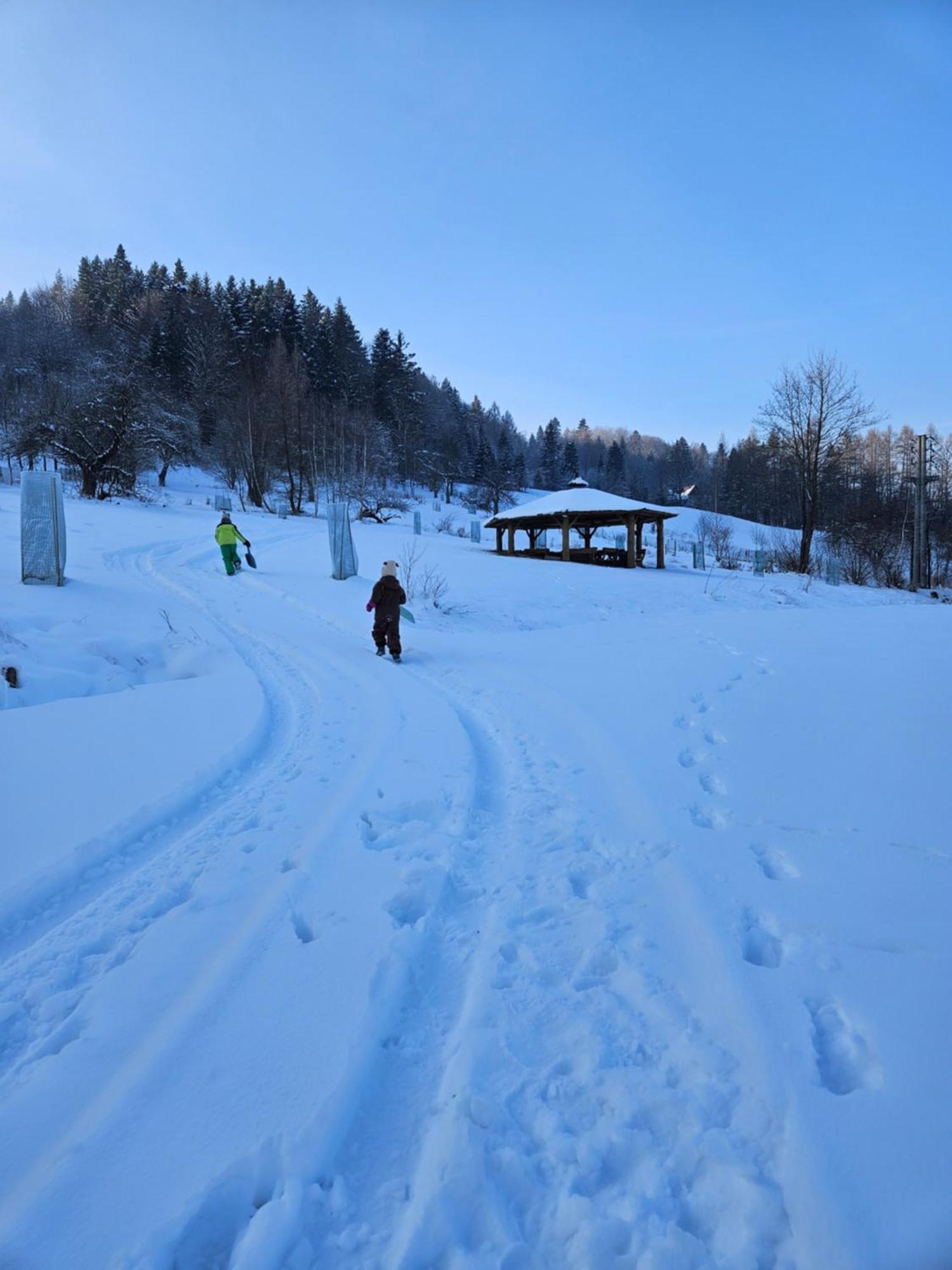 Otulina Park Bed & Breakfast Szczawnica Exterior photo