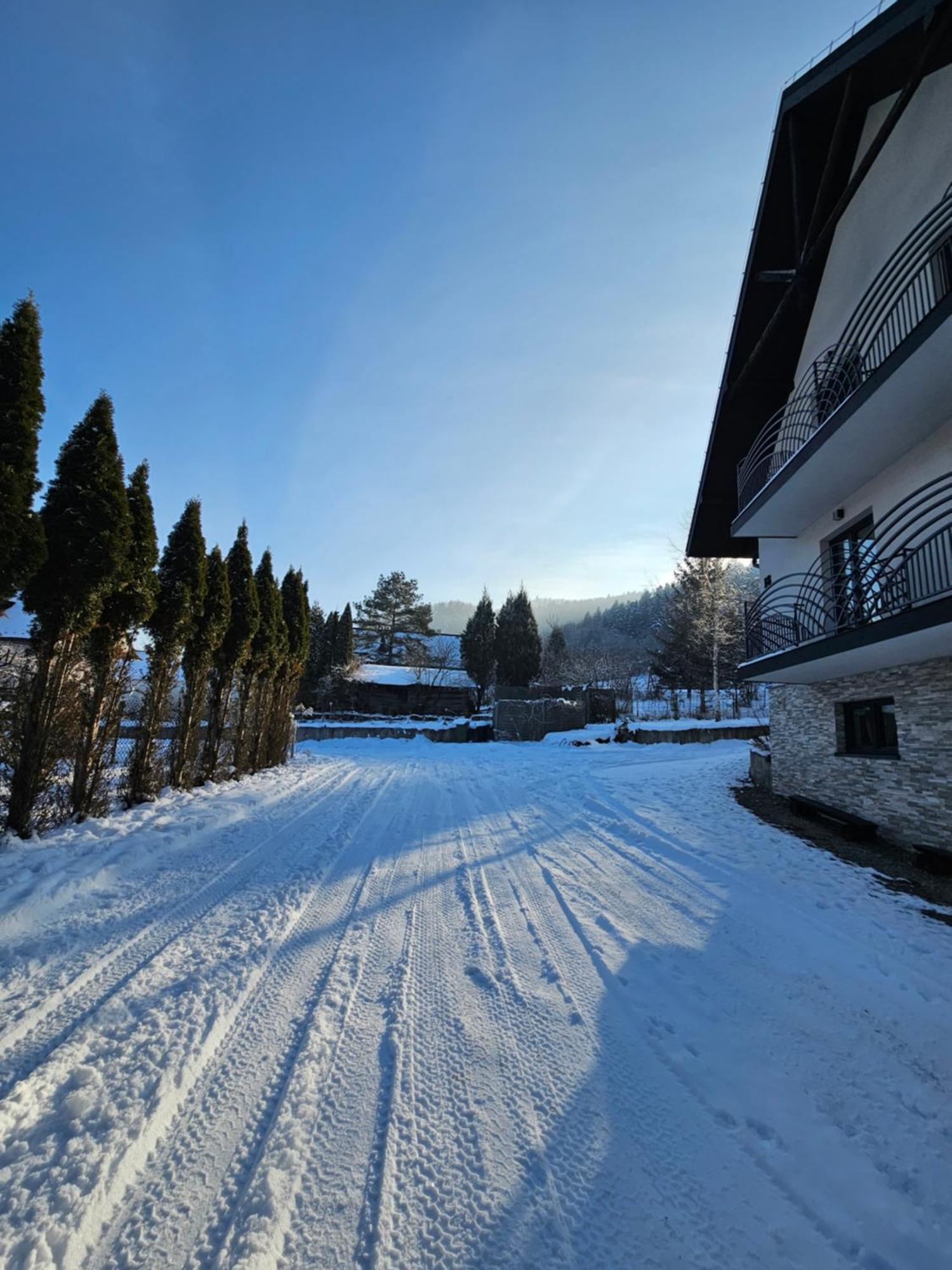Otulina Park Bed & Breakfast Szczawnica Exterior photo