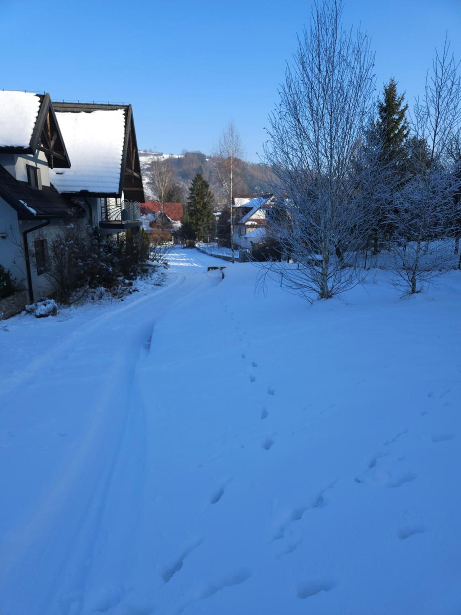 Otulina Park Bed & Breakfast Szczawnica Exterior photo