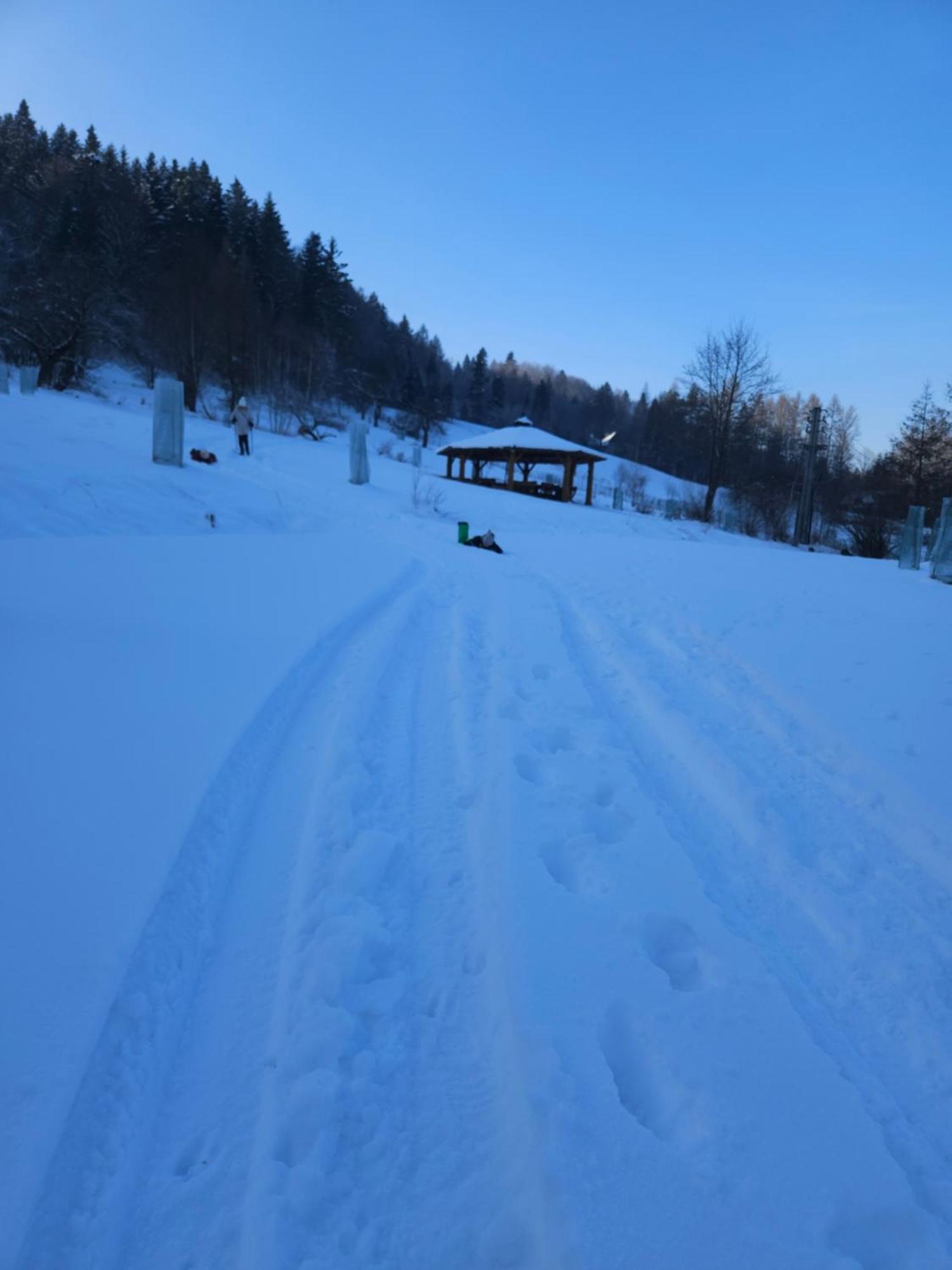 Otulina Park Bed & Breakfast Szczawnica Exterior photo